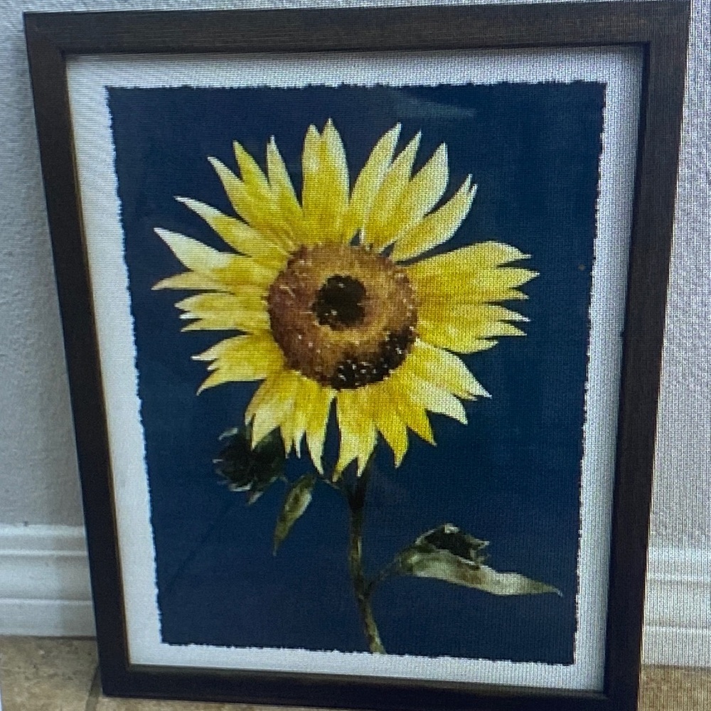 Really cute sunflower picture